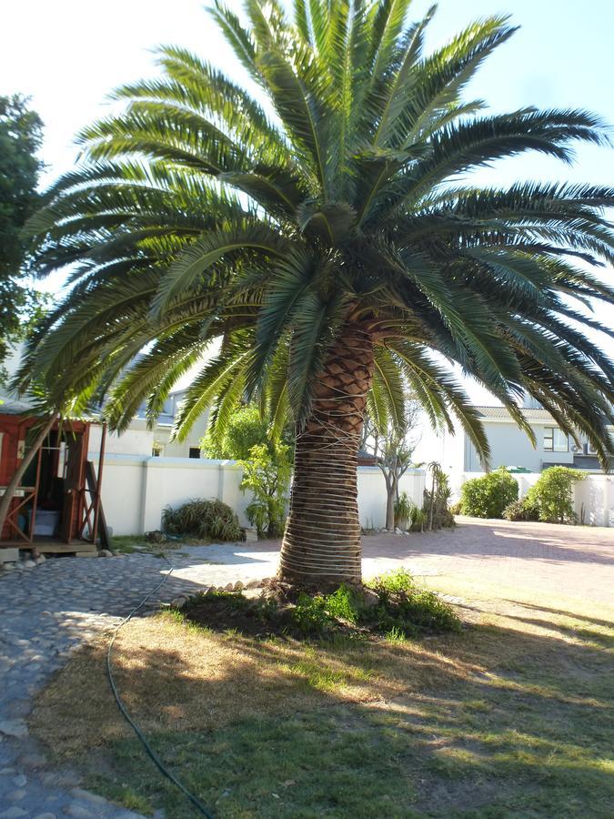 Cape Town Milnerton Lagoon Villa Dış mekan fotoğraf